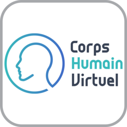 Corps Humain Virtuel