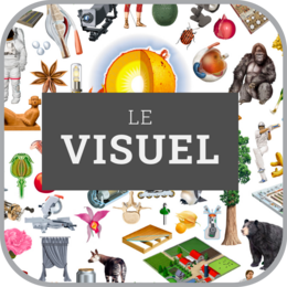 Le Visuel